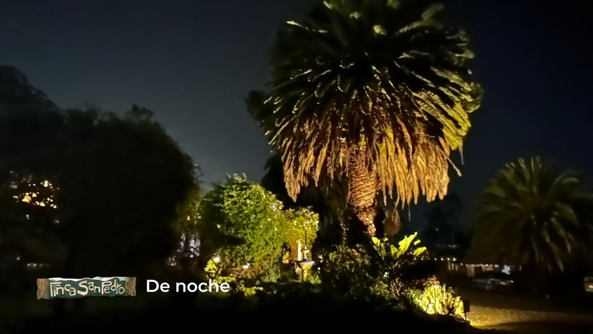 Finca San Pedro -Alojamiento Campestre Y Reserva Natural- Согамосо Экстерьер фото