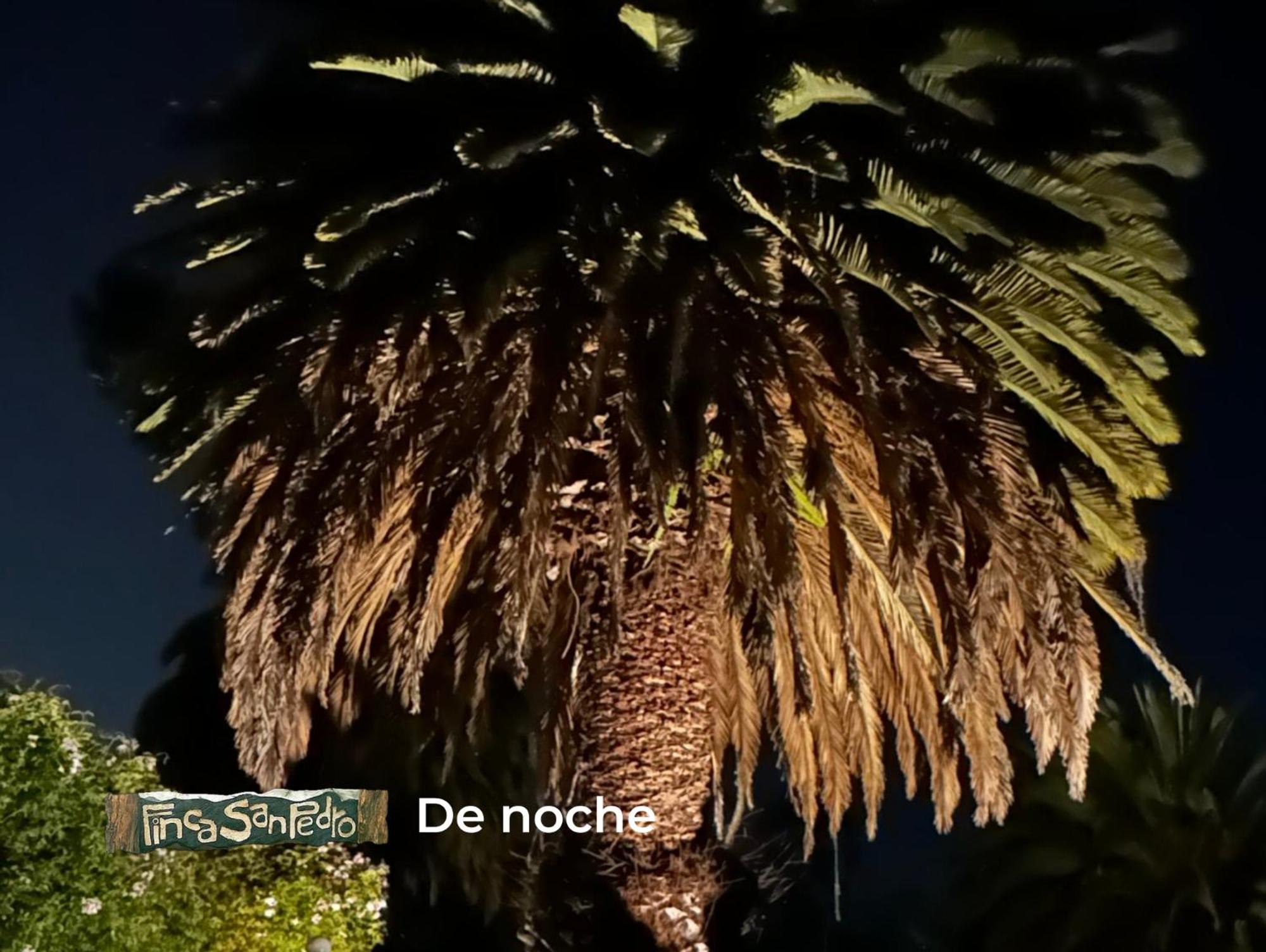 Finca San Pedro -Alojamiento Campestre Y Reserva Natural- Согамосо Экстерьер фото
