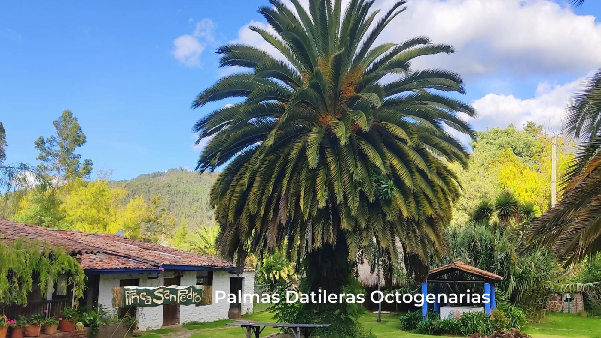 Finca San Pedro -Alojamiento Campestre Y Reserva Natural- Согамосо Экстерьер фото
