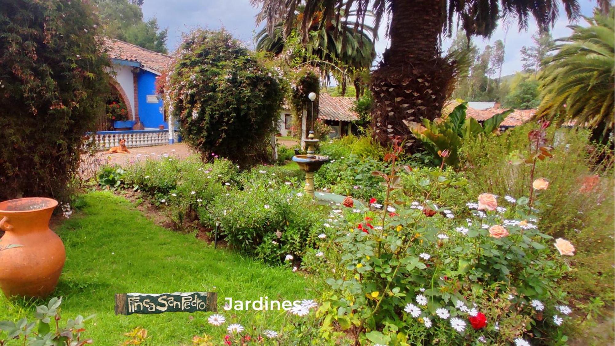 Finca San Pedro -Alojamiento Campestre Y Reserva Natural- Согамосо Экстерьер фото