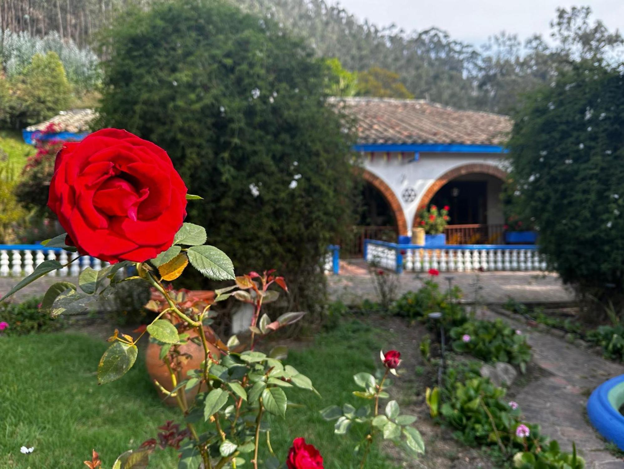 Finca San Pedro -Alojamiento Campestre Y Reserva Natural- Согамосо Экстерьер фото