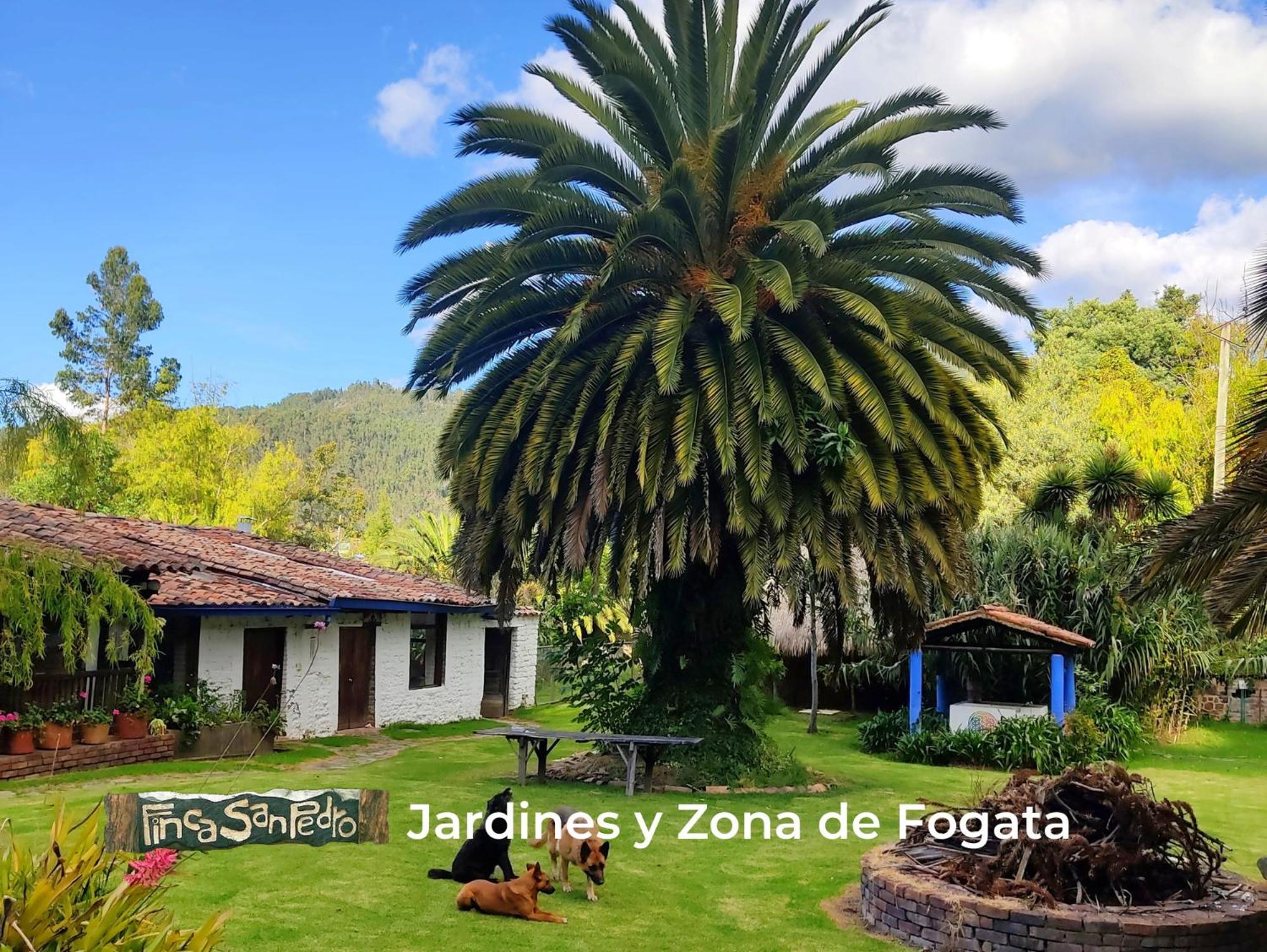 Finca San Pedro -Alojamiento Campestre Y Reserva Natural- Согамосо Экстерьер фото