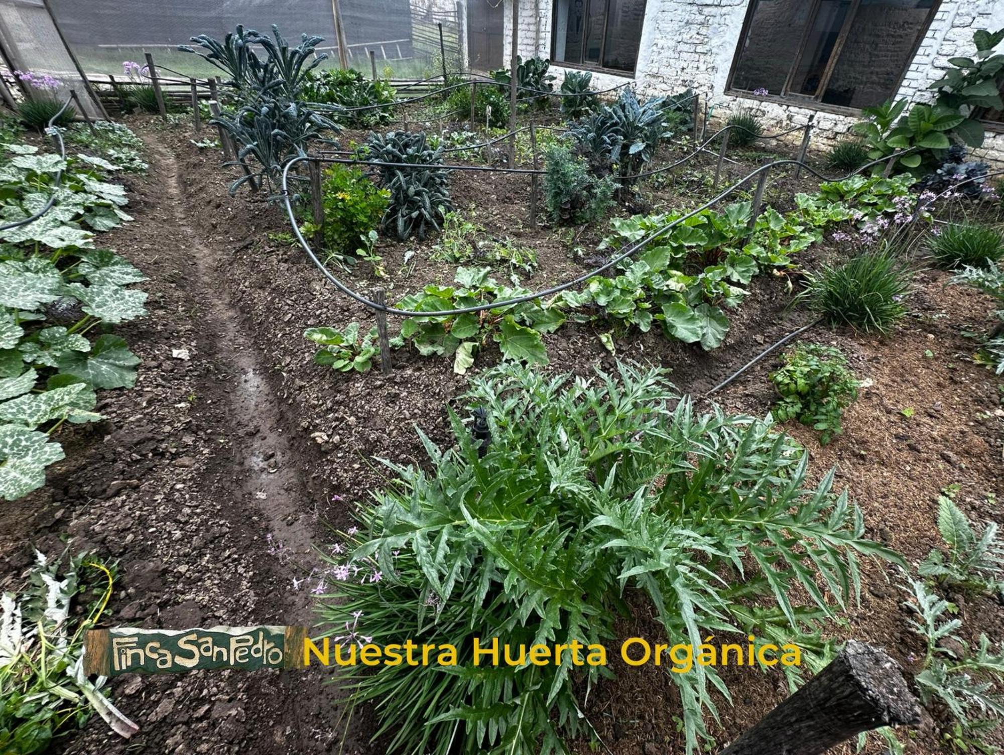 Finca San Pedro -Alojamiento Campestre Y Reserva Natural- Согамосо Экстерьер фото